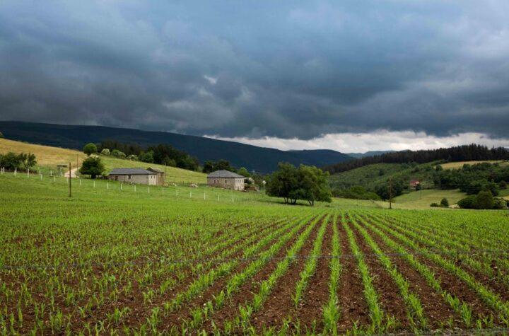 300.000 Euros para Modernizar Explotaciones Agrarias a Través de Entidades Asociativas en el Medio Rural
