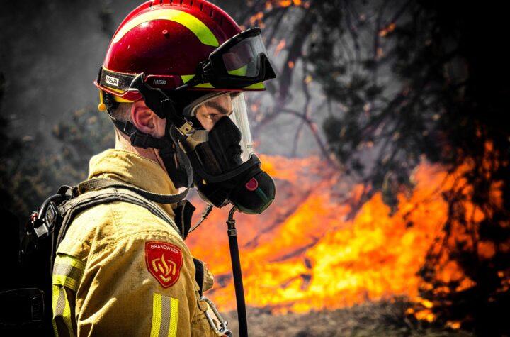 Los trabajos más seguros ante la IA: bomberos, pilotos y jardineros entre los menos amenazados