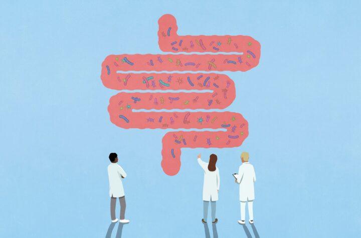 Bacterias Intestinales y Orales: ¿Están Conectadas con Rasgos Psicopáticos?