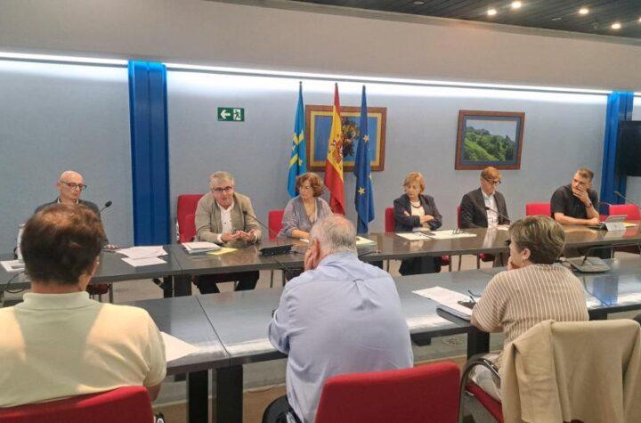 Aprobación Inicial de Directrices Sectoriales para la Ordenación de Instalaciones de Baterías en La Cuota