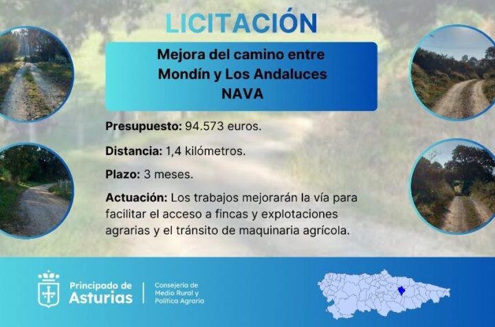 Mejora del Camino entre Mondín y Los Andaluces en Nava: Licitación de 94.000 Euros por el Medio Rural