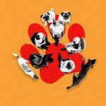 "Grupo de apoyo para dueños de perros: ¡Cuando el amor se transforma en frustración!"