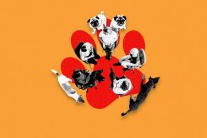 "Grupo de apoyo para dueños de perros: ¡Cuando el amor se transforma en frustración!"