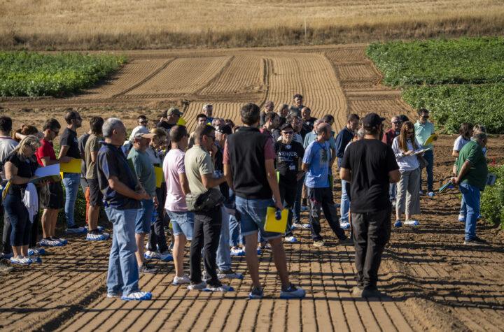 Innovaciones en el Manejo de Patatas y Uso de Drones: Presentación de Neiker en Álava
