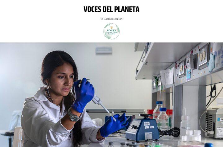Las abejas sin aguijón de la Amazonía obtienen derechos legales gracias a la labor de una científica peruana