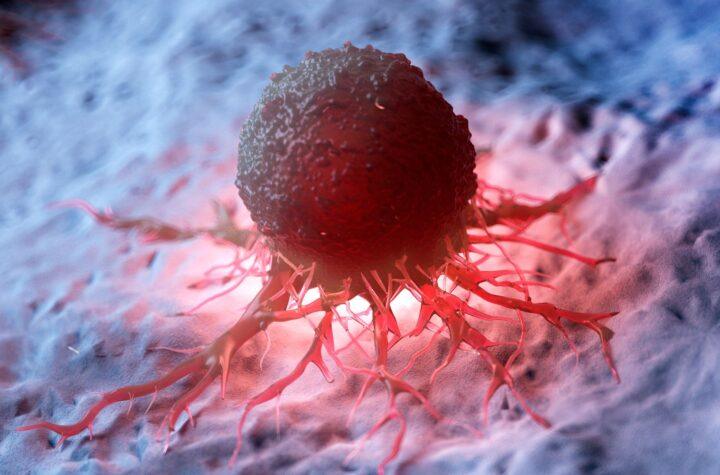 Revolucionaria terapia contra el cáncer: reprogramación del sistema inmunitario mediante nanopartículas inteligentes