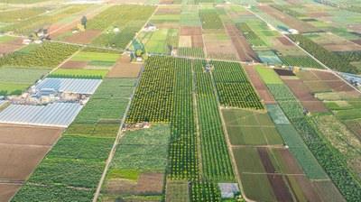 Aumento de ingresos para agricultores: La agricultura resiliente al clima como solución clave