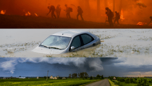 EEA Introduces Climate Resilience Framework and Innovative Tools for Europe's Preparedness