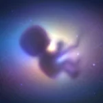 Estudio revela patrones sorprendentes en niños que afirman haber reencarnado: ¿qué dice la ciencia?