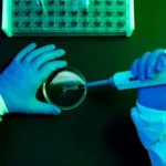 Virus Shamonda: Riesgos y Detalles del Primer Contagio Humano en Francia