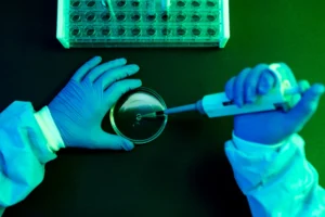 Virus Shamonda: Riesgos y Detalles del Primer Contagio Humano en Francia